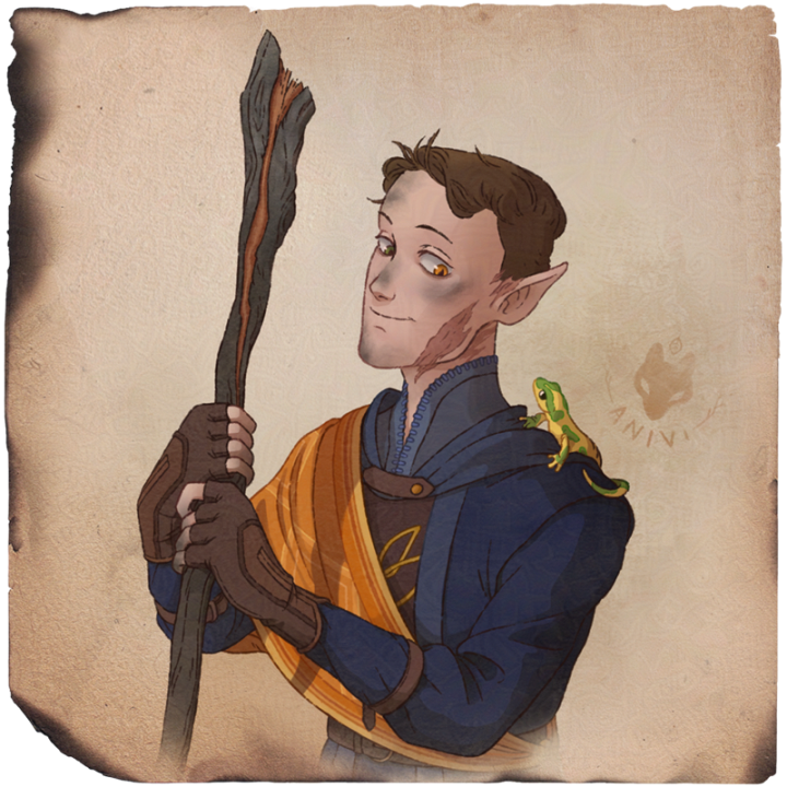 Character portrait illustration of a elven sorcerer in blue and orange robes with a wooden staff and a newt on his shoulder